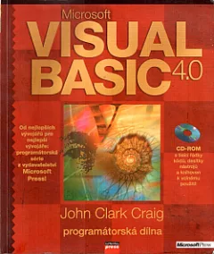 Visual Basic 4.0 - programátorská dílna