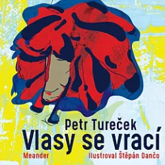 Vlasy se vrací