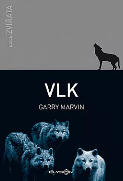 Vlk