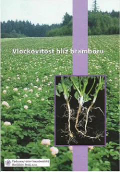 Vločkovitost hlíz bramboru