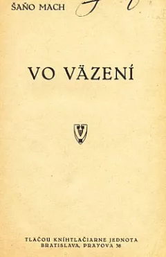 Vo väzení
