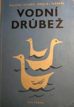 Vodní drůbež