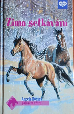 Zima setkávání