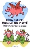 Volové na plotě, aneb, Švejkův vnuk na cvičení