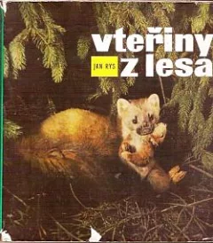 Vteřiny z lesa