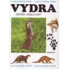 Vydra