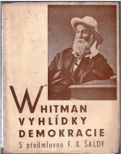 Vyhlídky demokracie