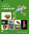 Vytváříme zvířátka z korálků