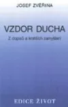 Vzdor ducha