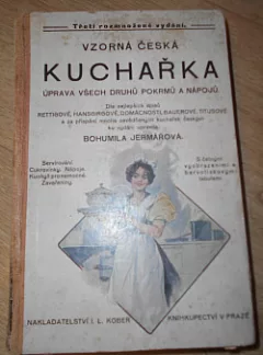 Vzorná česká kuchařka
