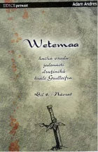 Wetemaa: Kniha osudu jedenácti družiníků krále Gudleifra. Díl 4., Návrat