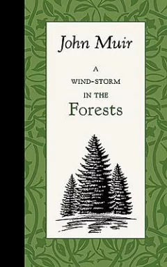 Wind-Storm in the Forests