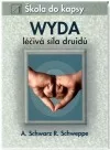 WYDA léčivá síla druidů
