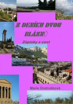 Z deníku dvou bláznů