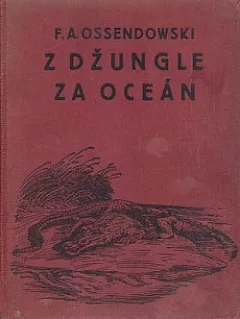 Z džungle za oceán