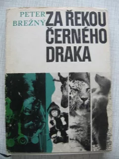 Za řekou černého draka