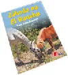 Záhada na El Ranchu