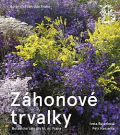 Záhonové trvalky