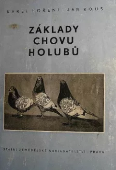 Základy chovu holubů