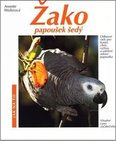 Žako, papoušek šedý