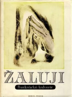 Žaluji - 1. svazek: Pankrácká kalvárie