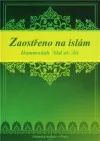 Zaostřeno na islám