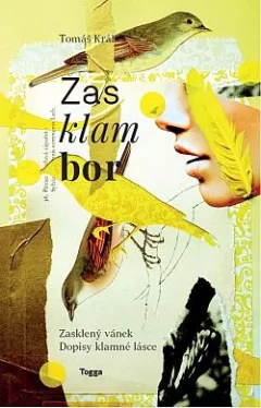 Zasklambor