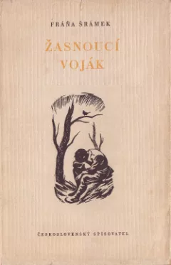 Žasnoucí voják