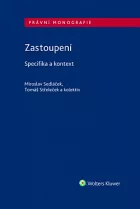 Zastoupení - Specifika a kontext