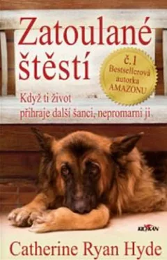 Zatoulané štěstí
