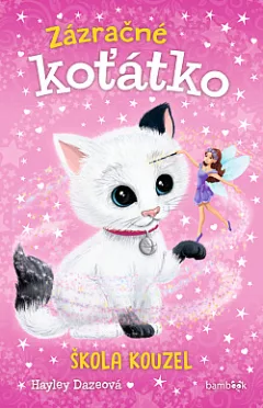 Škola kouzel