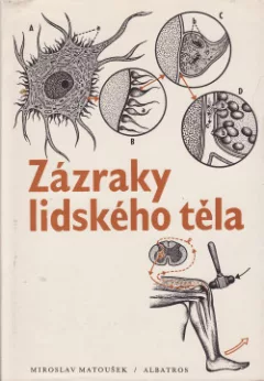 Zázraky lidského těla