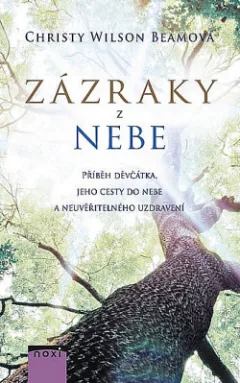 Zázraky z nebe