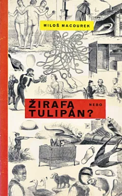Žirafa nebo tulipán?