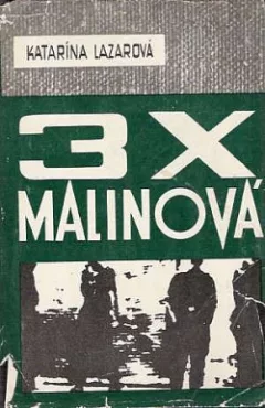 3x Malinová