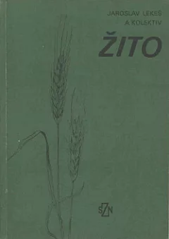 Žito