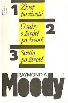 Život po životě / Úvahy o životě po životě / Světlo po životě