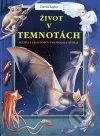 Život v temnotách