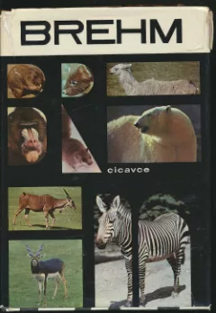 Život zvierat 4: Cicavce