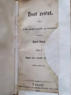 Život zvířat I. svazek: Opice a netopýři