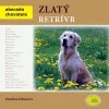 Zlatý retrívr