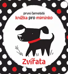 Zvířata