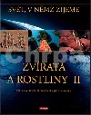 Zvířata a rostliny II