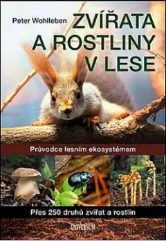 Zvířata a rostliny v lese