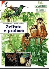 Zvířata v pralese