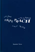 Zvířený prach