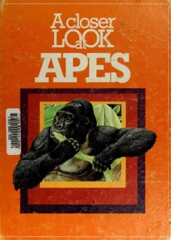 A closer look at apes